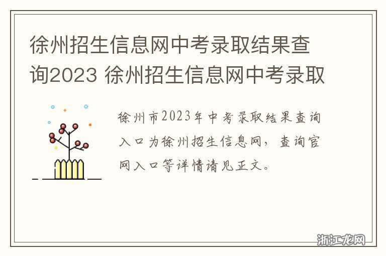 徐州招生信息网,成绩查询的便捷通道