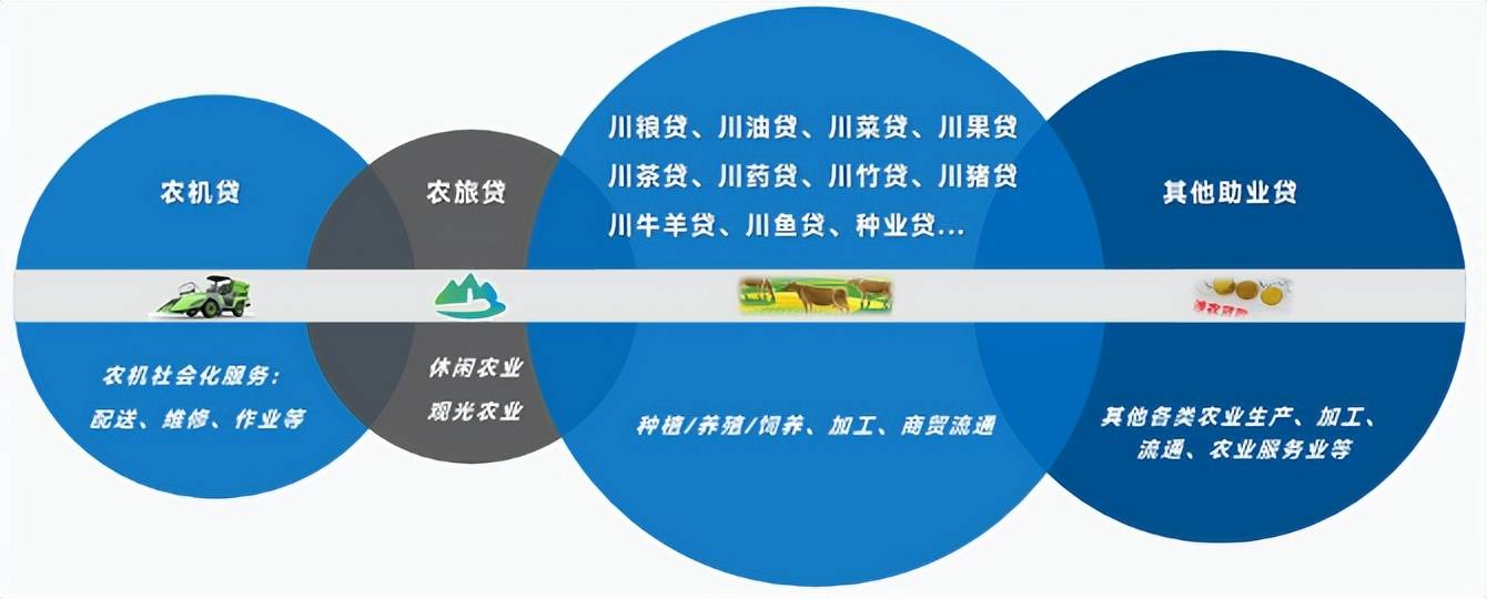 全国花生信息网，构建高效、透明的农产品交易平台