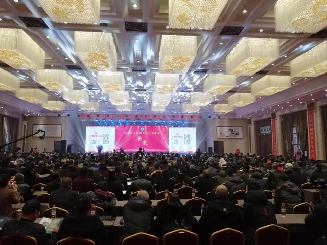 解析中国花生价格信息网，洞察市场动态与未来趋势