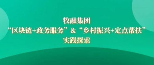鸡蛋交易网，重塑农产品供应链的数字化新篇章