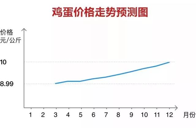 蛋鸡信息网，洞悉鸡蛋价格行情，助力养殖业稳健发展
