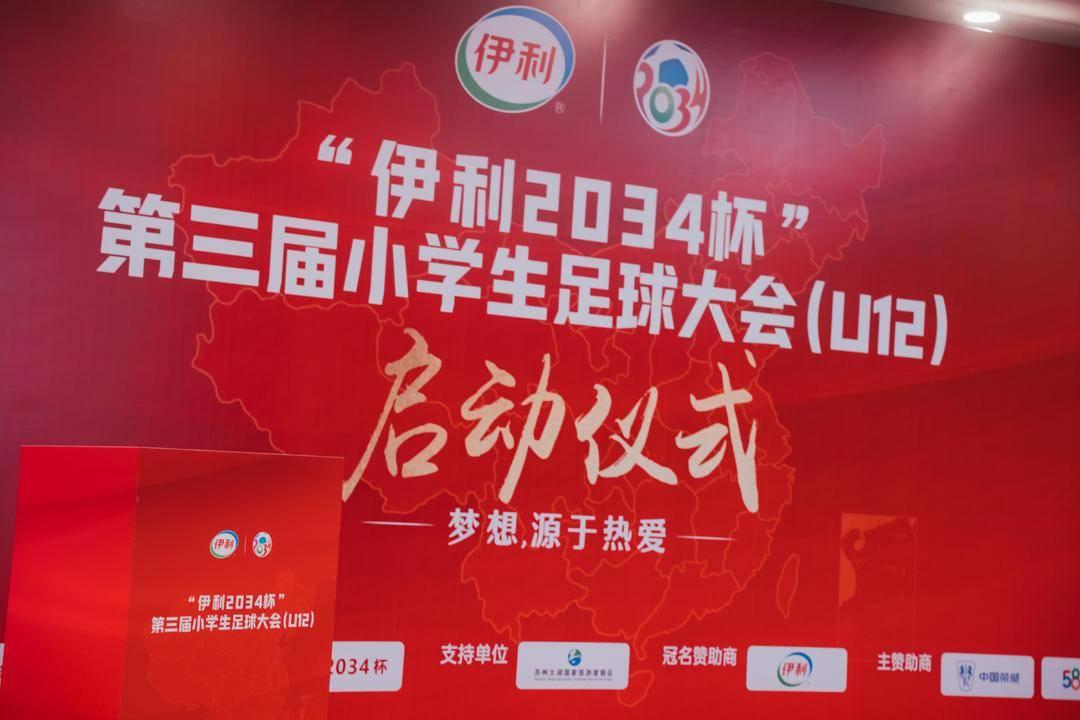 欧洲杯2034,延期风波与足球盛宴的未来展望