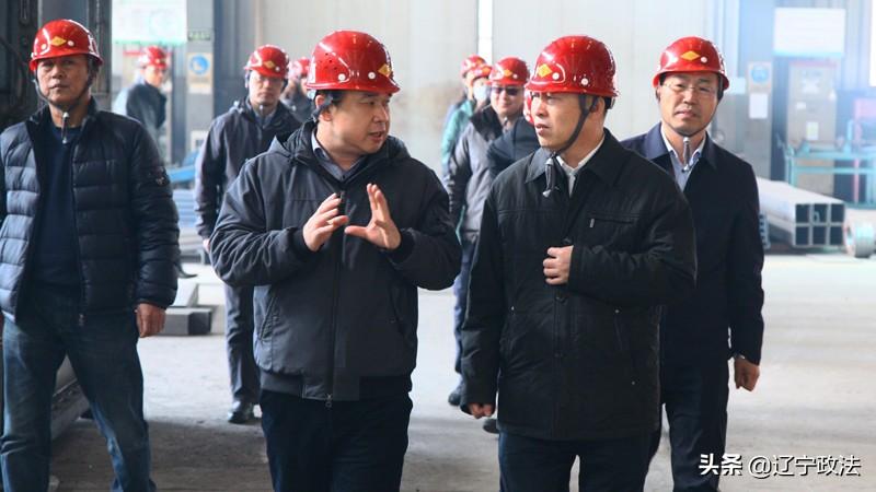 辽宁建设工程信息网登录难题，原因与对策