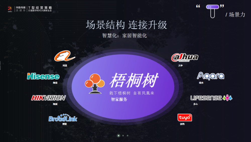 蜂巢影视,打造数字时代的文化新生态