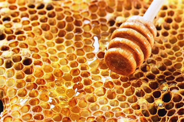 蜂巢,自然馈赠的保健圣品—作用、功效与食用方法全解析