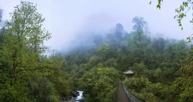 蜂巢影院,城市中的微光,心灵的栖息地