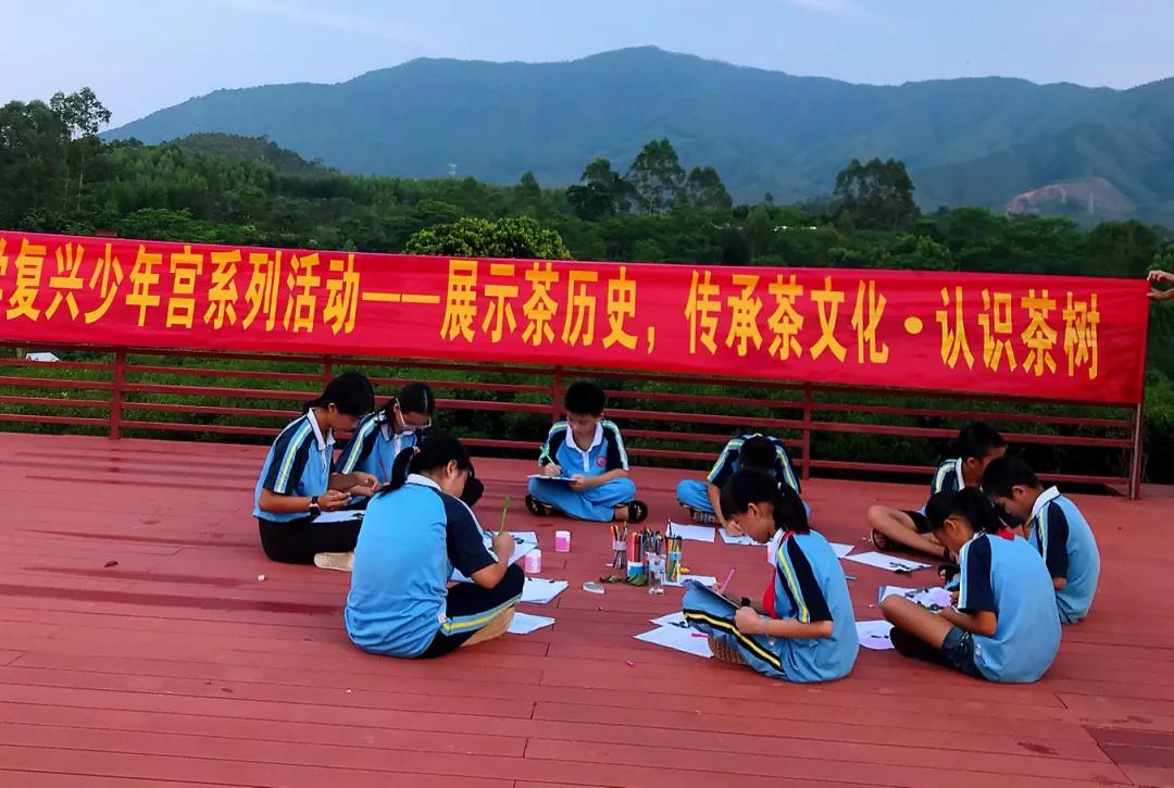体育单招报名，开启梦想之门的官方入口