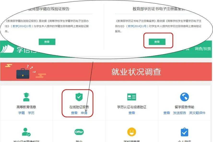 探索学信网登录，解锁教育信息的新窗口